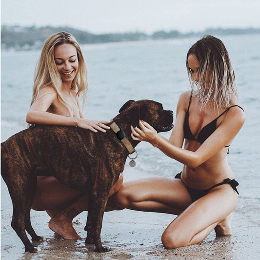 Pet GPS Tracker Set with Apple Find My Smart Tag & Adjustable Safety Collar — Ready to Use