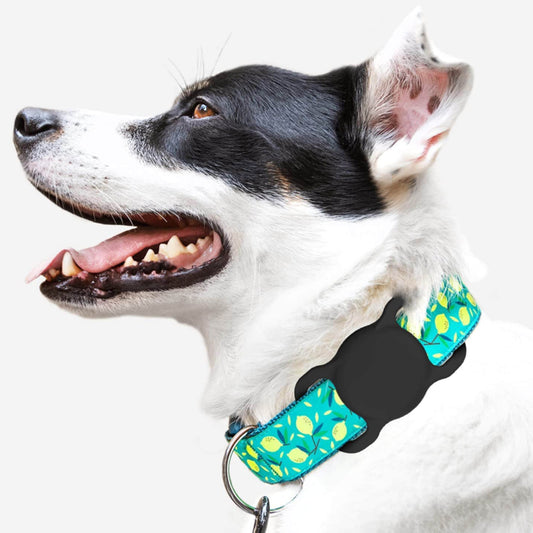 Pet GPS Tracker Set with Apple Find My Smart Tag & Adjustable Safety Collar — Ready to Use