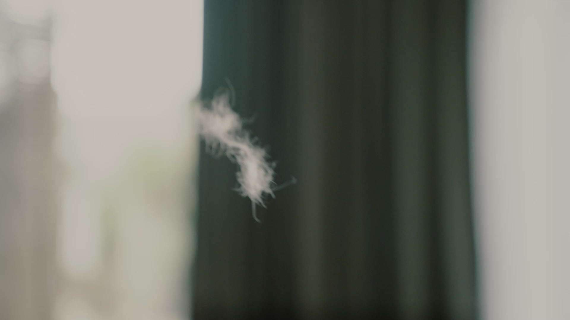 PawSwing Pro Self-Grooming Cat House